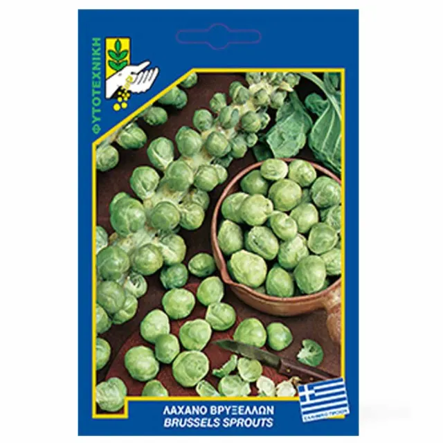MyAgroMarket Λαχανάκια Βρυξελλών σπόροι 2gr όρθια