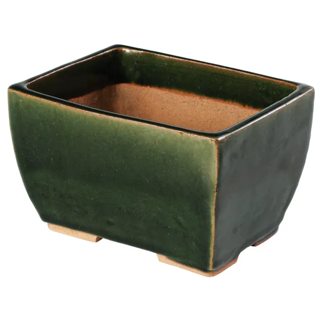 Wazakura Tokoname γλάστρα μπονσάι ορθογώνια 135mm λαδί