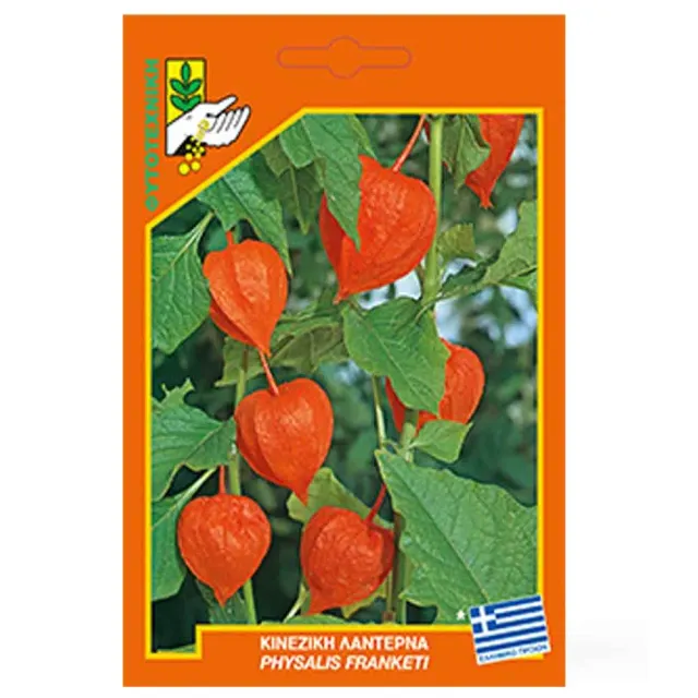 MyAgroMarket Φυσαλίδα Franketi σπόροι κινέζικη λαντέρνα