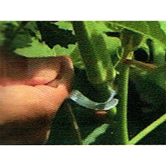 Tanabe Harvest R κόφτης δακτύλου ανοξείδωτος 24mm