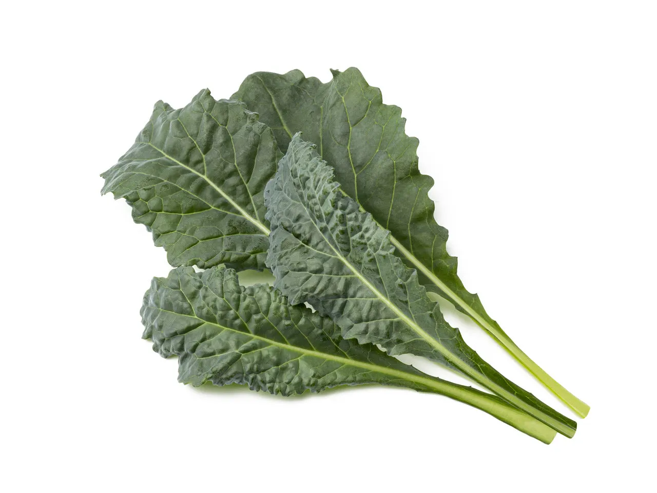 Click and Grow Italian Kale κάψουλες λαχανίδας 9 τεμαχίων