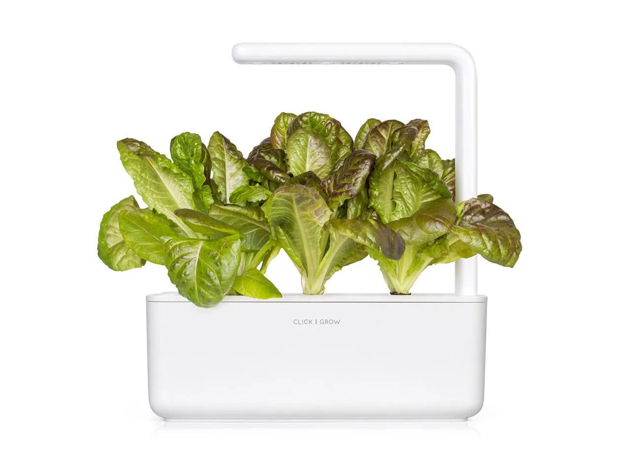 Click and Grow Red Romaine κάψουλες φυτών 3-pack τραγανό