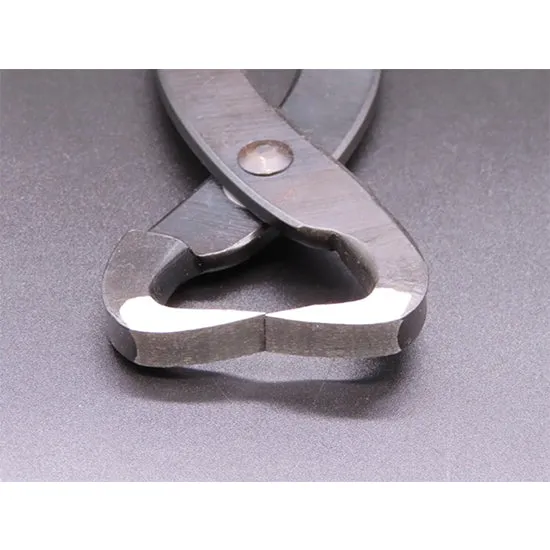 Tanabe Trunk Splitter L σχιστήρι μπονσάι 360mm