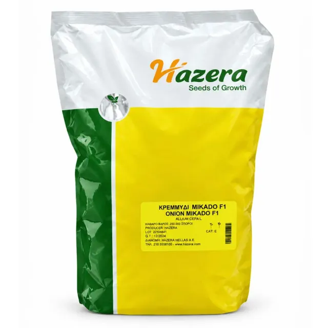Hazera Mikado F1 σπόροι κρεμμυδιού 100.000 πρώιμο