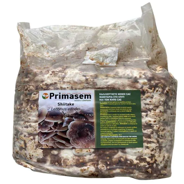 MyAgroMarket Shiitake μπλοκ μανιταριών 4kg έτοιμο Lentinula