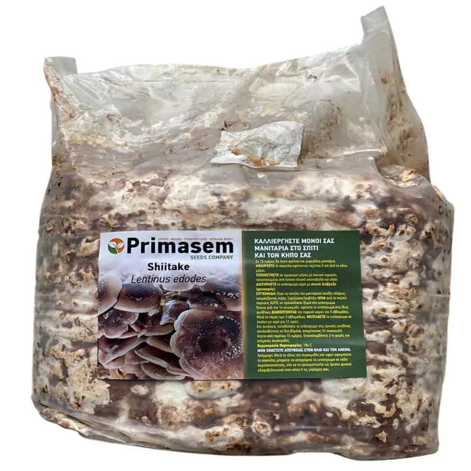 MyAgroMarket Shiitake μπλοκ μανιταριών 4kg έτοιμο Lentinula