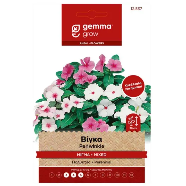 MyAgroMarket Βίγκα Μίγμα σπόροι 0,2gr για γλάστρα