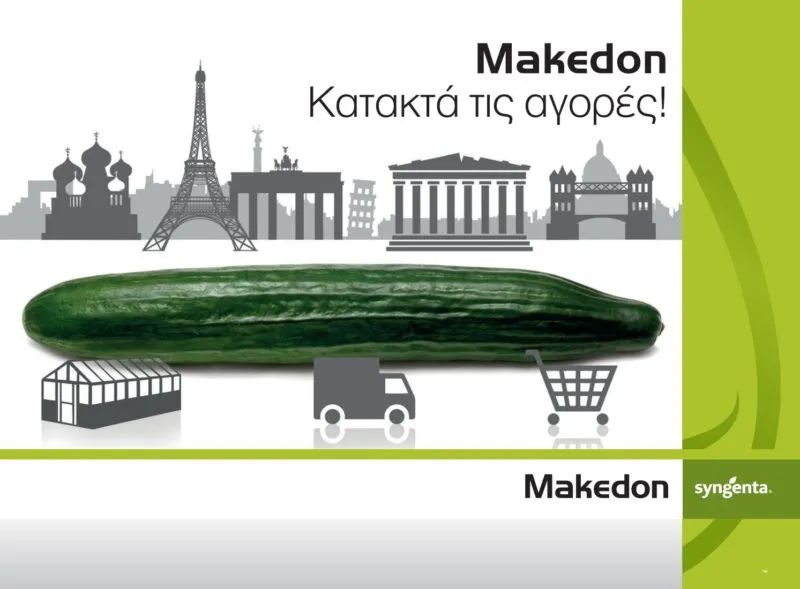 MyAgroMarket Makedon F1 σπόροι αγγουριού 100 σπόροι μακρύ