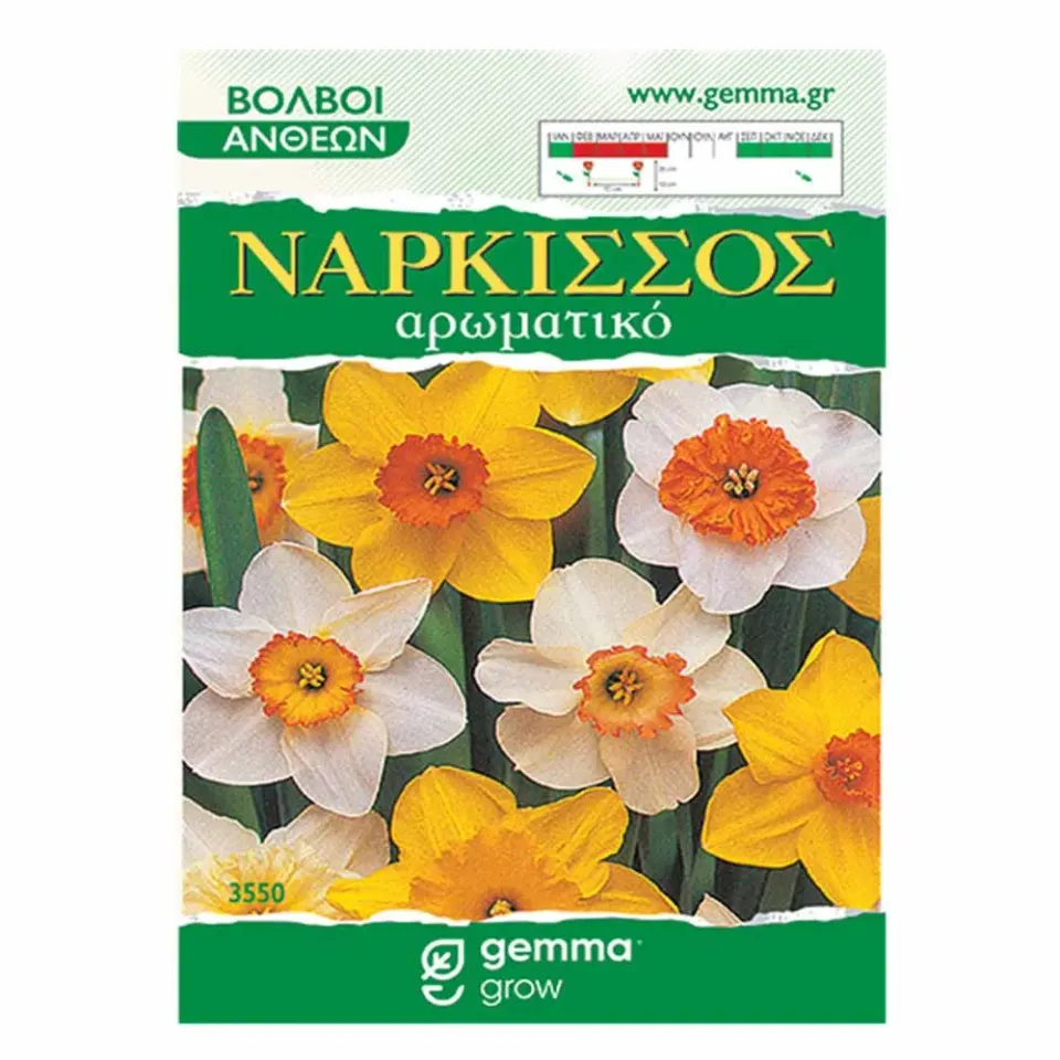 MyAgroMarket Νάρκισσος μίγμα βολβοί 3 τεμ 12/14