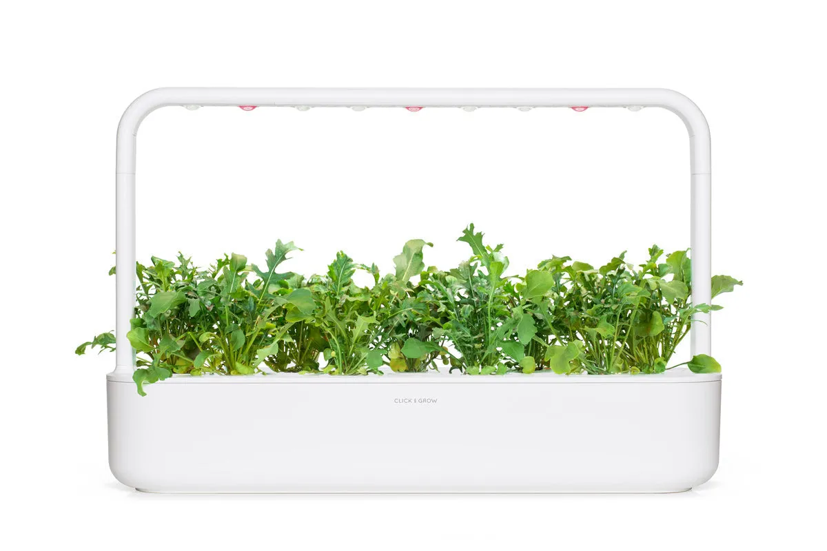 Click and Grow Ρόκα κάψουλες φυτών 9 τεμαχίων πικάντικη