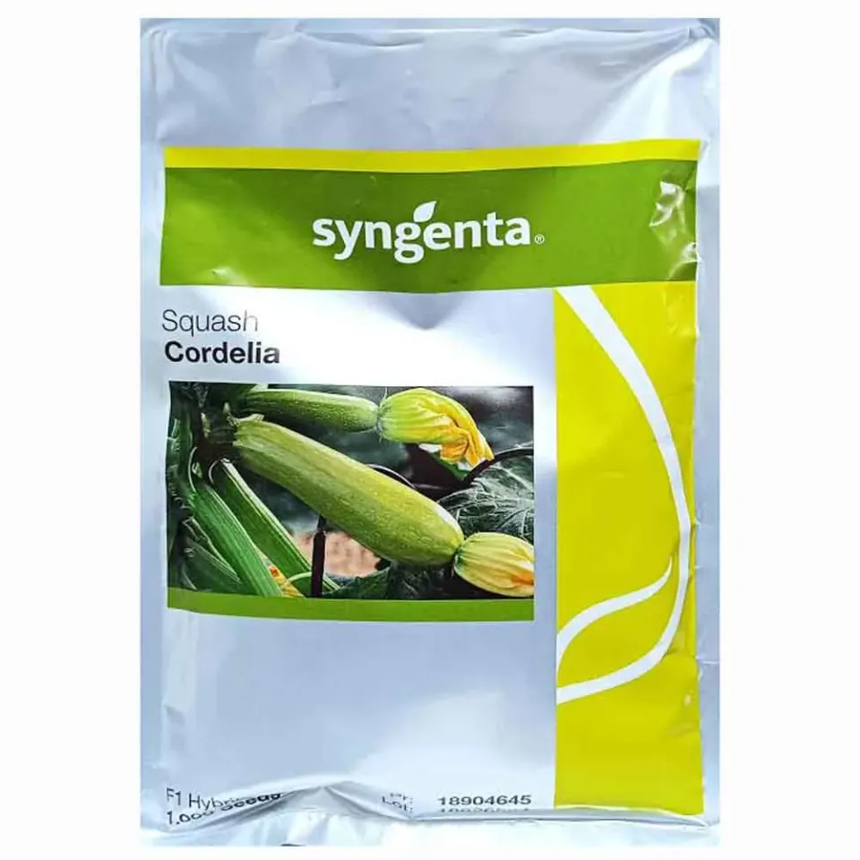 MyAgroMarket Cordelia F1 σπόροι κολοκυθιού 1000 σπόροι πρώιμο
