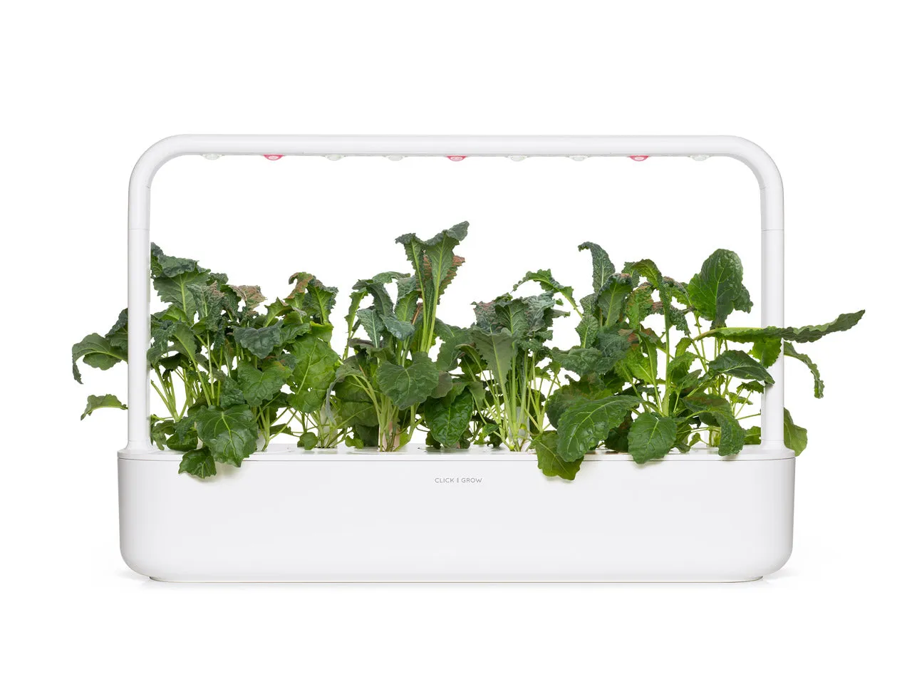 Click and Grow Italian Kale κάψουλες λαχανίδας 9 τεμαχίων