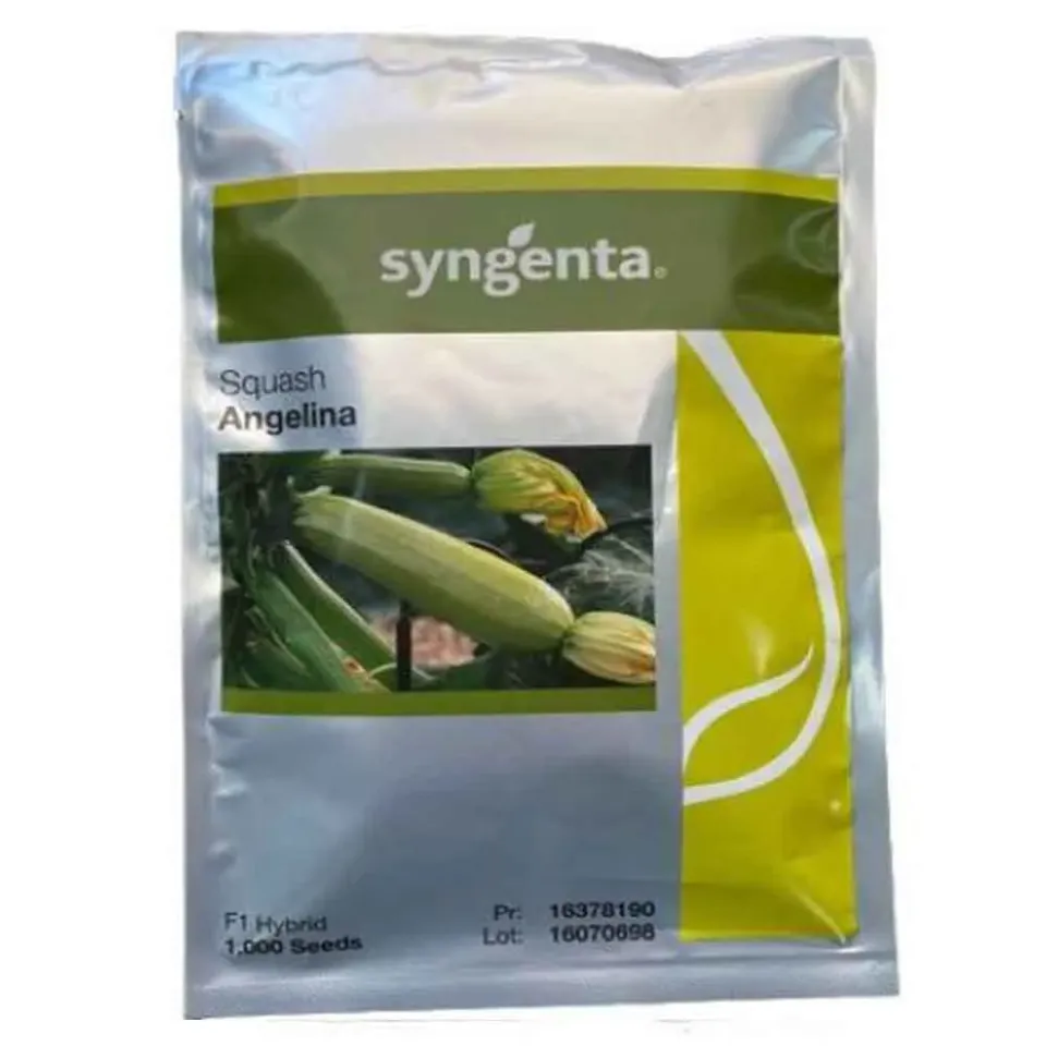 MyAgroMarket Angelina F1 σπόροι κολοκυθιού 1000 σπόροι υπαίθριας