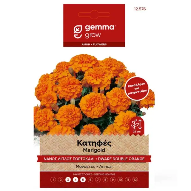 MyAgroMarket κατιφές νάνος διπλός σπόροι 0,9gr πορτοκαλί