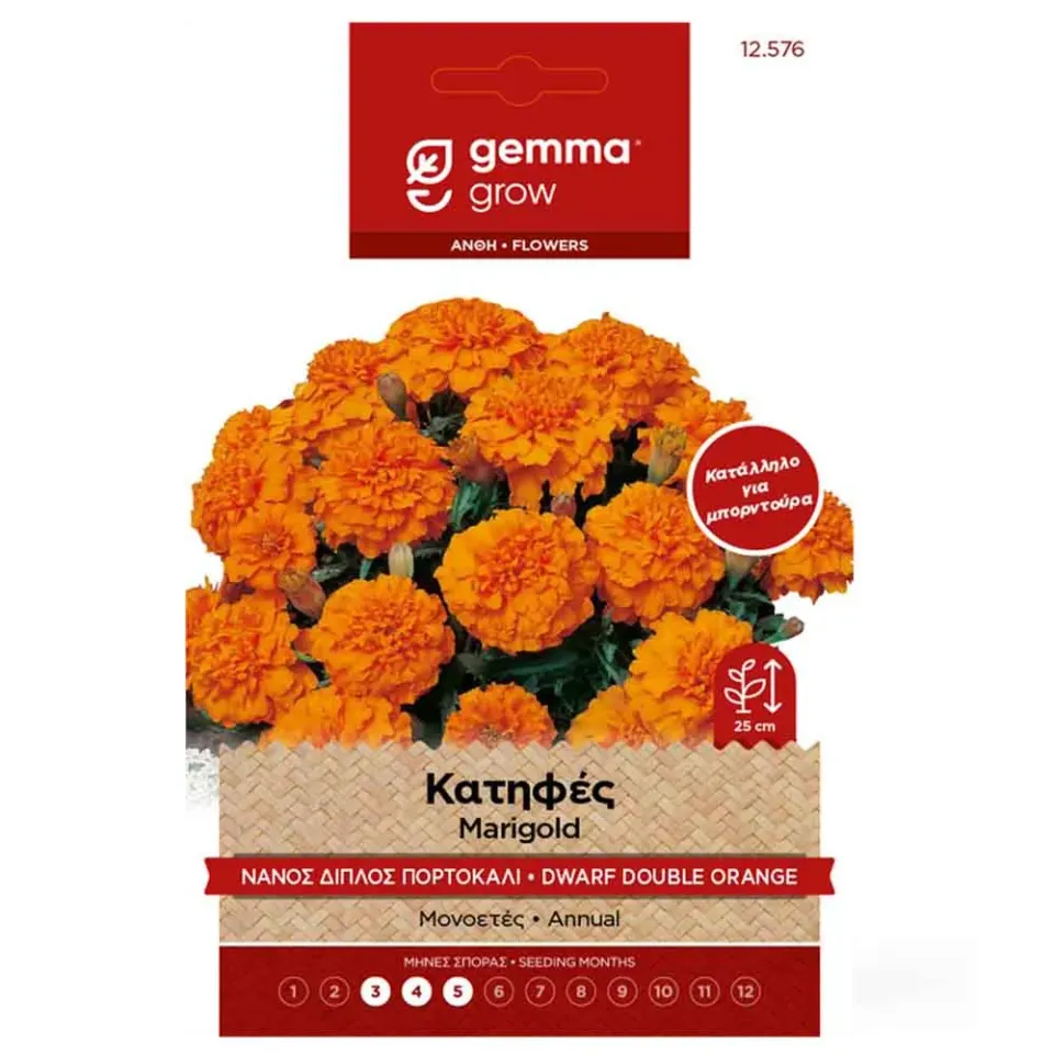 MyAgroMarket κατιφές νάνος διπλός σπόροι 0,9gr πορτοκαλί