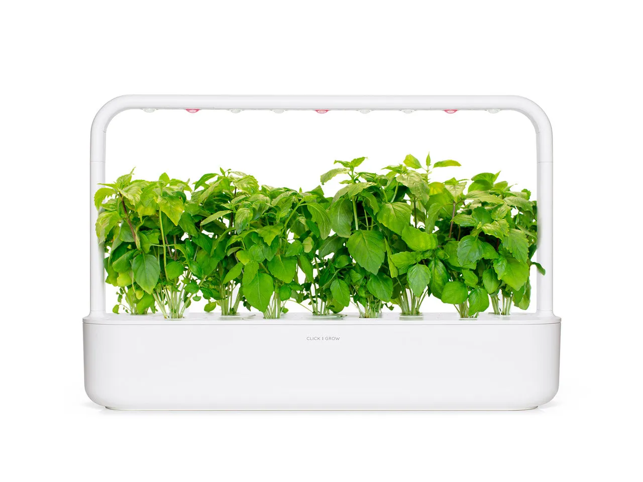 Click and Grow Cinnamon Basil κάψουλες βασιλικού 3 τεμαχίων
