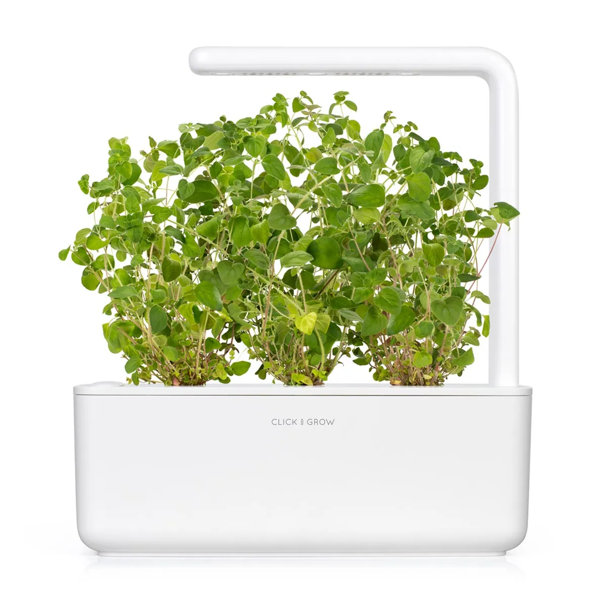 Click and Grow Ρίγανη κάψουλες φυτών 3 τεμ μεσογειακή