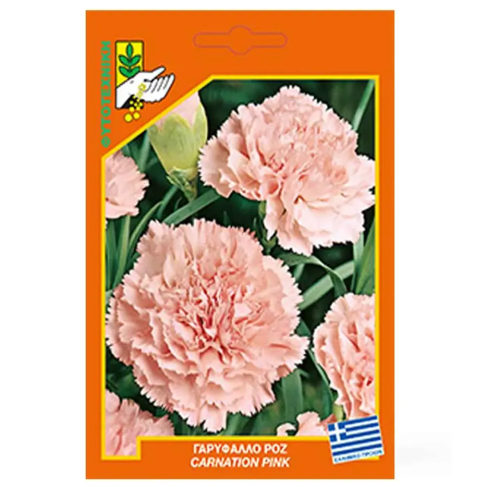 MyAgroMarket Γαρύφαλλο Ροζ σπόροι για γλάστρα διετές
