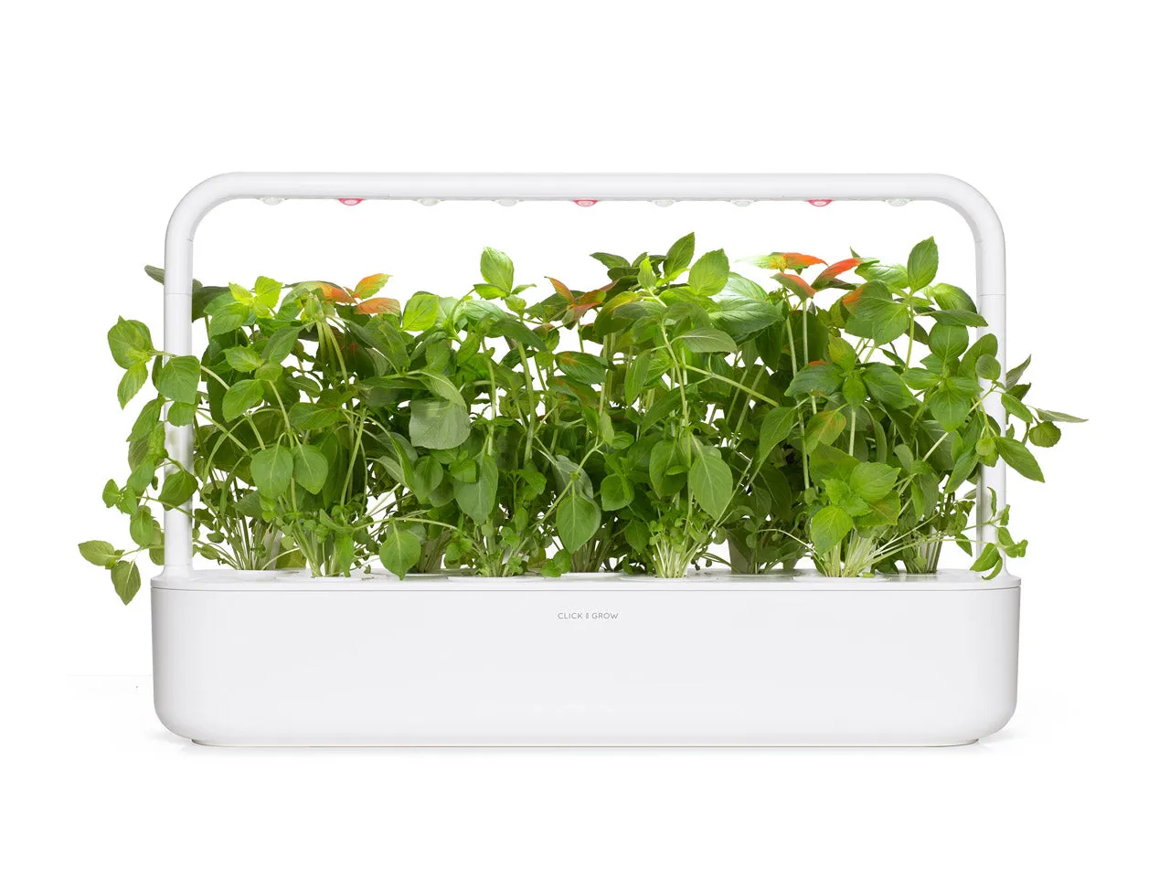 Click and Grow Lemon Basil κάψουλες βοτάνου 3 τεμάχια