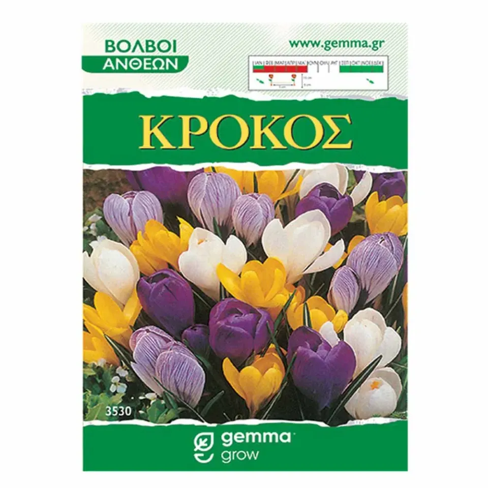 MyAgroMarket Κρόκος Μίγμα Βολβοί 5 τεμ ανοιξιάτικος