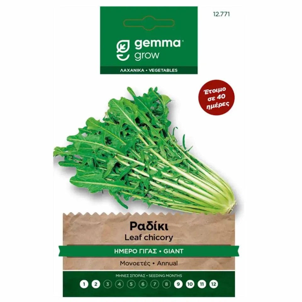 MyAgroMarket Catalogna ραδίκι γίγας σπόροι ήμερο