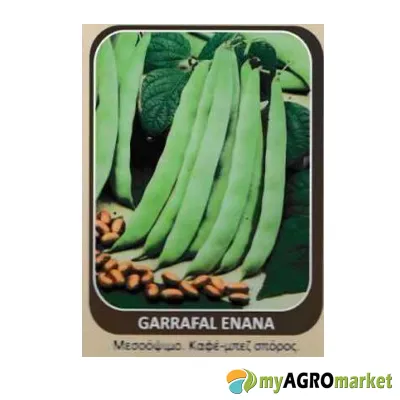 MyAgroMarket Garrafal enana σπόροι φασολιού ζαργάνα καθιστό 20gr