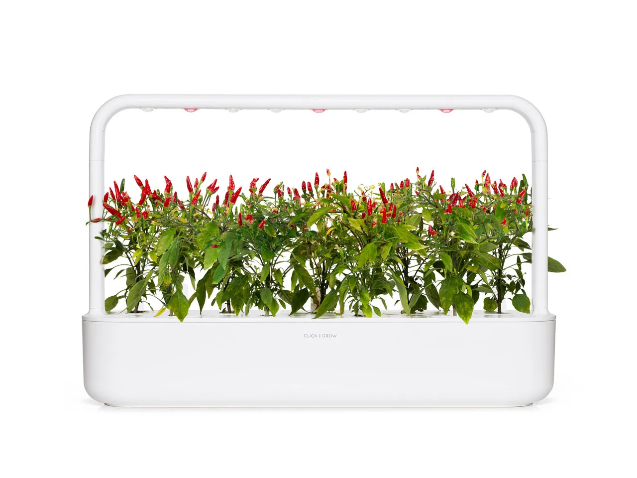 Click and Grow Piri Piri κάψουλες τσίλι 3 τεμάχια