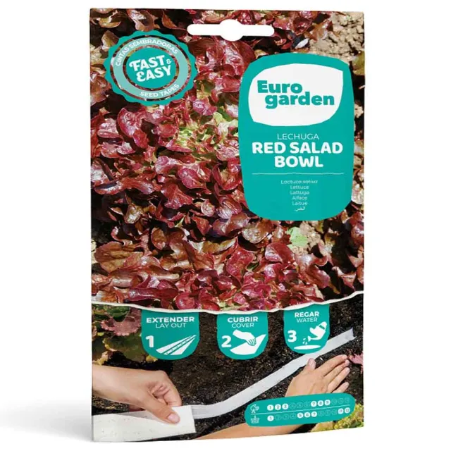 MyAgroMarket Red Salad Bowl μαρούλι σποροταινία 5m