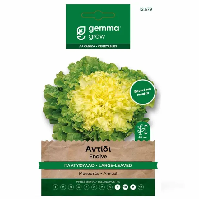 MyAgroMarket αντίδι πλατύφυλλο 20gr πρώιμο