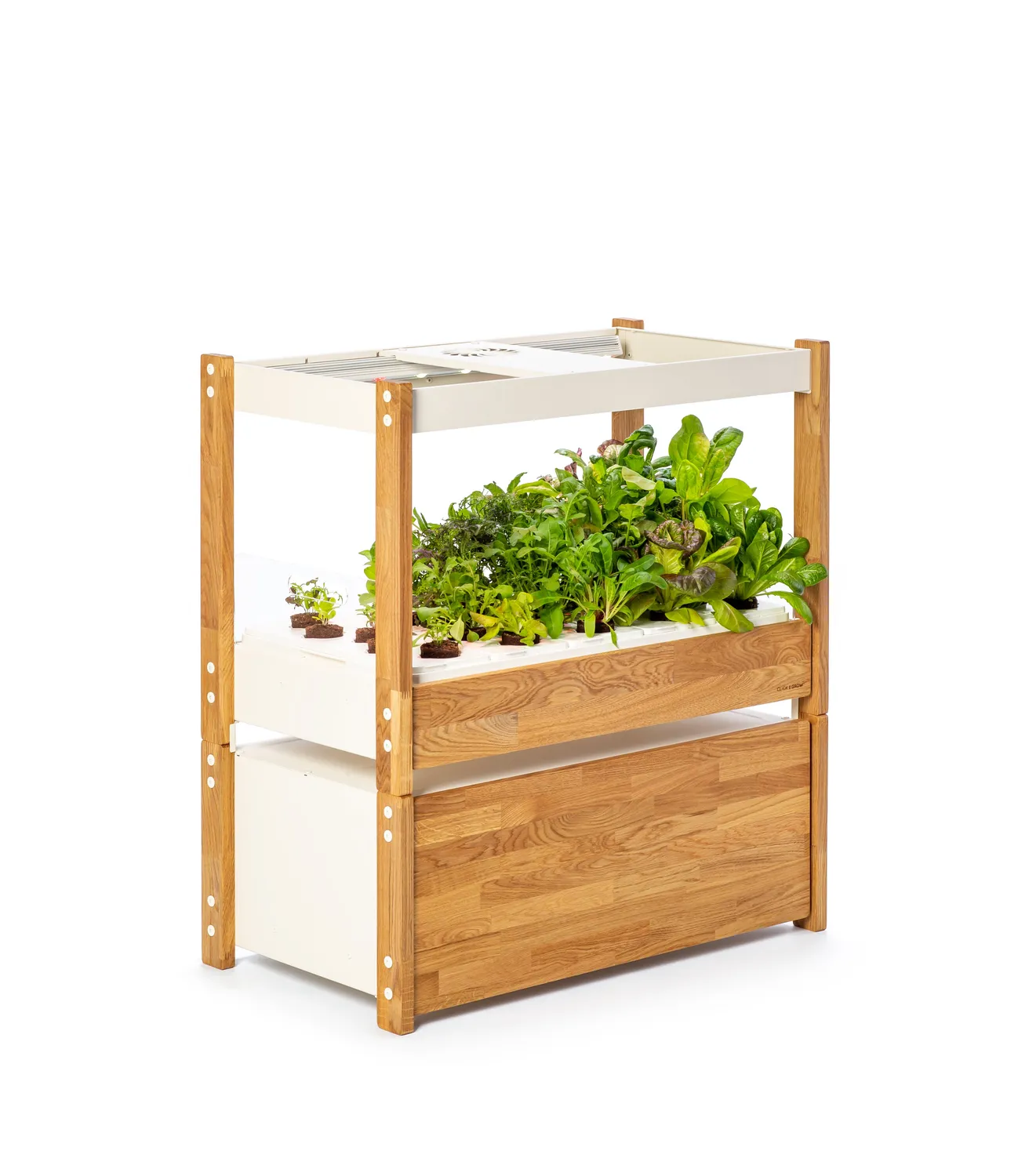 Click and Grow 25 συρταριέρα λευκή δρυς 75x43x30