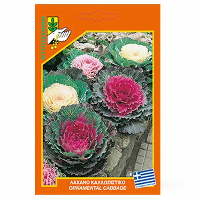 MyAgroMarket καλλωπιστικό λάχανο σπόροι 0,2gr παρτέρι