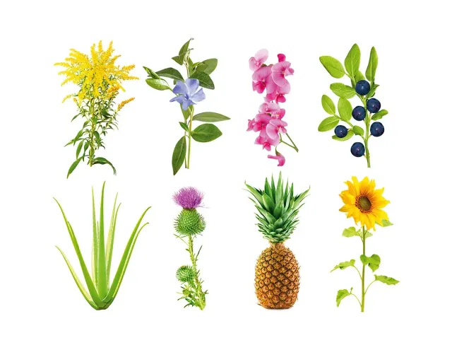 Click and Grow Grow Anything κάψουλες κενές 3 τεμ