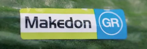 MyAgroMarket Makedon F1 σπόροι αγγουριού 100 σπόροι μακρύ