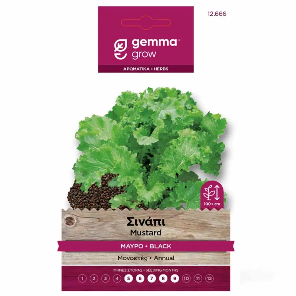MyAgroMarket Σινάπι μαύρο σπόροι 6gr για μουστάρδα