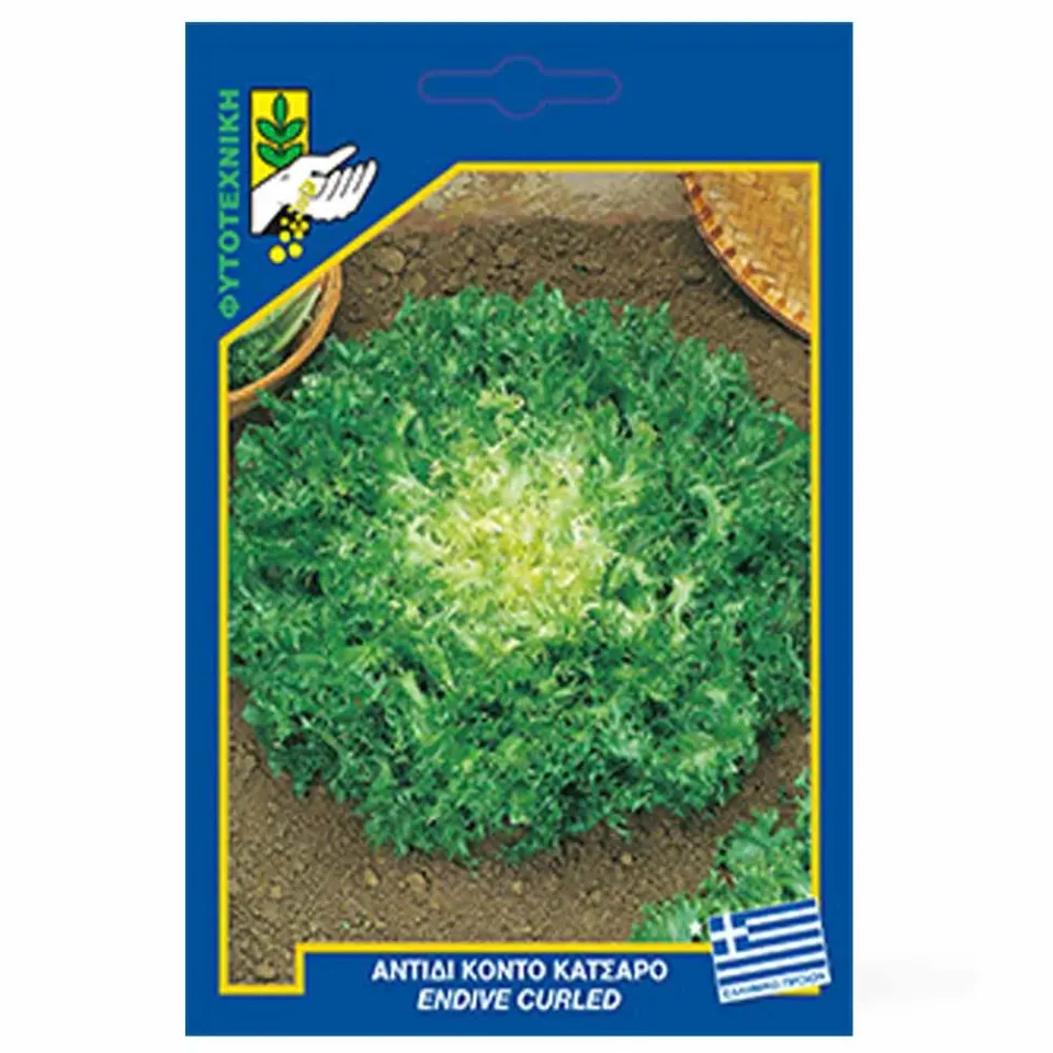 MyAgroMarket Ruffec σπόροι αντίδι 20gr κατσαρό