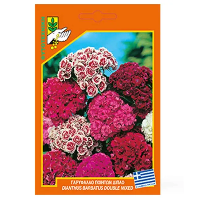 MyAgroMarket Γαρύφαλλο Ποιητών σπόροι διπλό μίγμα 50εκ