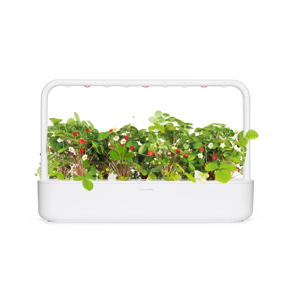 Click and Grow Wild Strawberry κάψουλες φράουλας 9 τεμ