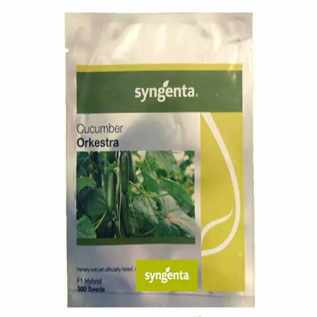 MyAgroMarket Αγγούρι Orkestra F1 σπόροι κοντό 16-19cm