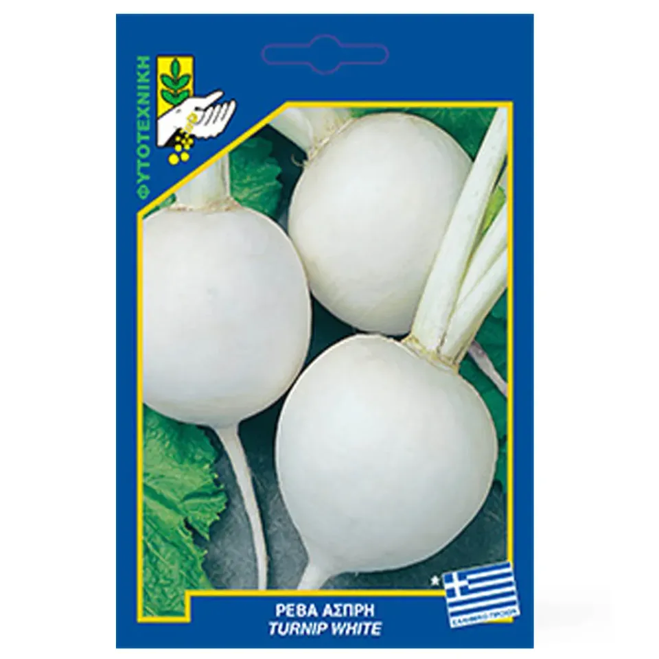 MyAgroMarket Ρέβα Άσπρη σπόροι 10gr γλυκιά