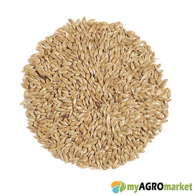 MyAgroMarket Ασπούρι 25kg κεχρί παπαγάλων