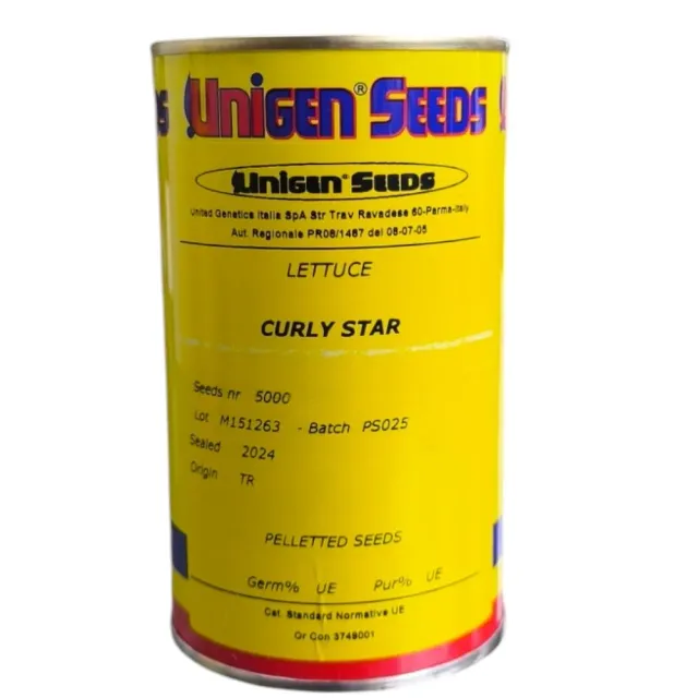 MyAgroMarket Curly Star Μαρούλι Κατσαρό Pills 5000 Σπόροι