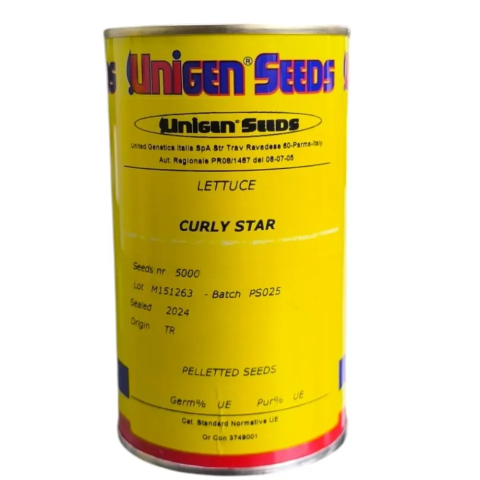MyAgroMarket Curly Star Μαρούλι Κατσαρό Pills 5000 Σπόροι