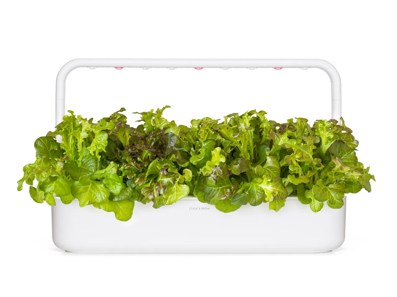 Click and Grow κόκκινο μαρούλι Oakleaf κάψουλες 9 τεμάχια