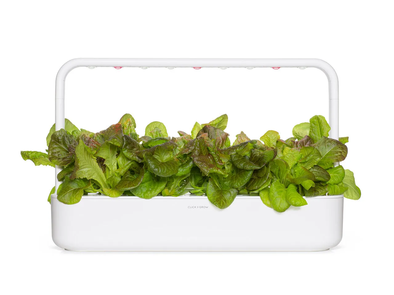Click and Grow Red Lettuce κάψουλες μαρουλιού 9 τεμαχίων