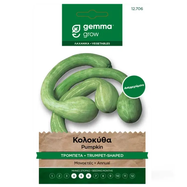 MyAgroMarket Κολοκύθα Τρομπέτα σπόροι 4gr έρπουσα
