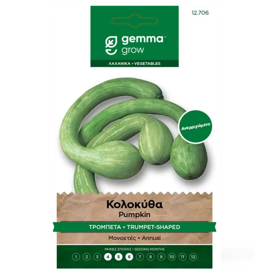 MyAgroMarket Κολοκύθα Τρομπέτα σπόροι 4gr έρπουσα