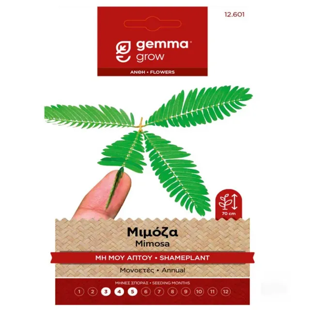 MyAgroMarket Μιμόζα Μη Μου Άπτου σπόροι 0,5gr γλάστρας