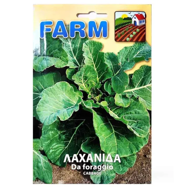 MyAgroMarket Da Forragio σπόροι λαχανίδα 2gr