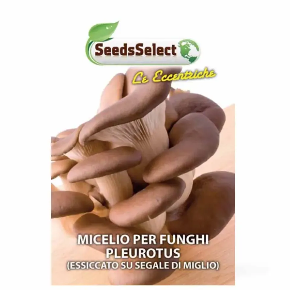 MyAgroMarket Pleurotus σπόροι μανιταριών πλευρώτους 25gr οικιακοί