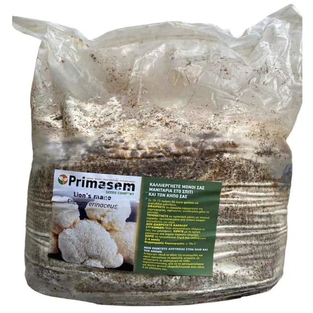 MyAgroMarket Lion's mane μπλοκ μανιταριών 4kg έτοιμο